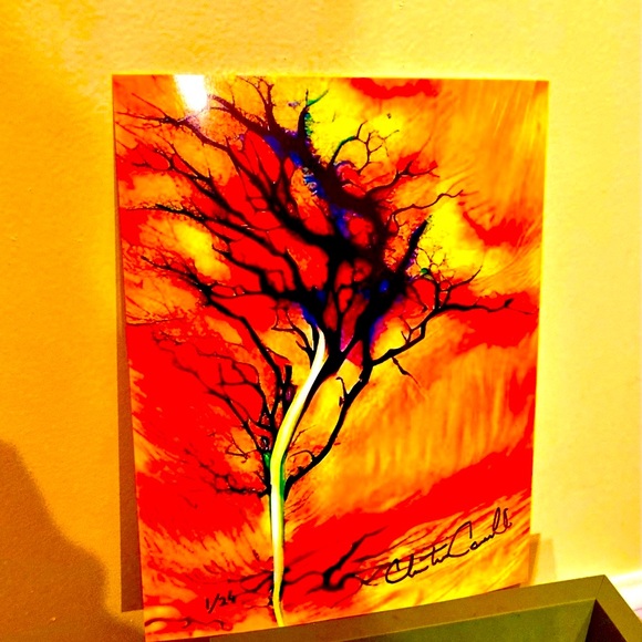 Meet your Posher, Christine - Picture 5 of 13